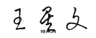 駱恆光王星文草書個性簽名怎么寫