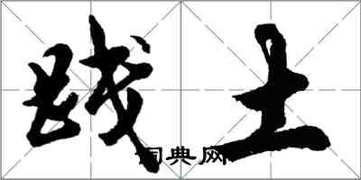 胡問遂踐土行書怎么寫