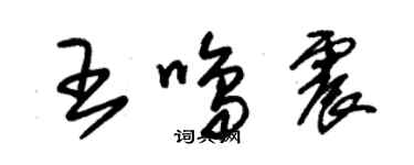 朱錫榮王鳴震草書個性簽名怎么寫