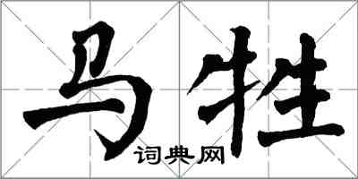 翁闓運馬牲楷書怎么寫