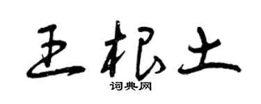 曾慶福王根土草書個性簽名怎么寫