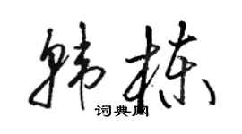 駱恆光韓棟草書個性簽名怎么寫