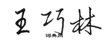 駱恆光王巧林行書個性簽名怎么寫