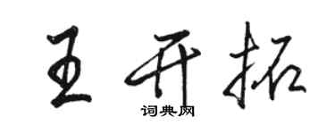 駱恆光王開拓行書個性簽名怎么寫