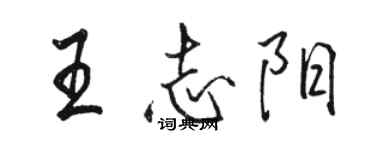 駱恆光王志陽行書個性簽名怎么寫