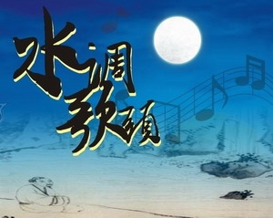 水調歌頭讀後感_水調歌頭讀後感作文