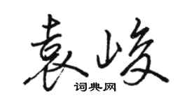 駱恆光袁峻行書個性簽名怎么寫