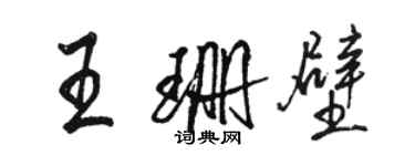 駱恆光王珊壁行書個性簽名怎么寫