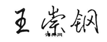 駱恆光王崇鋼行書個性簽名怎么寫