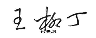 駱恆光王柳丁草書個性簽名怎么寫