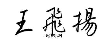 王正良王飛揚行書個性簽名怎么寫