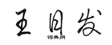 駱恆光王日發行書個性簽名怎么寫