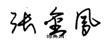 朱錫榮張金鳳草書個性簽名怎么寫