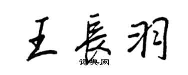 王正良王長羽行書個性簽名怎么寫