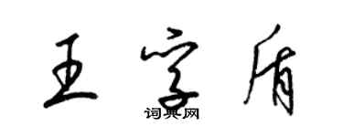 梁錦英王孚盾草書個性簽名怎么寫