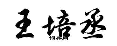 胡問遂王培丞行書個性簽名怎么寫