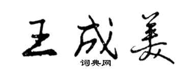 曾慶福王成美行書個性簽名怎么寫
