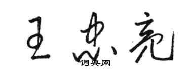 駱恆光王忠亮草書個性簽名怎么寫