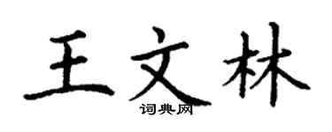 丁謙王文林楷書個性簽名怎么寫