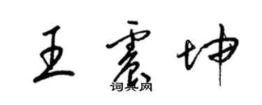 梁錦英王震坤草書個性簽名怎么寫