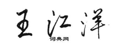 駱恆光王江洋行書個性簽名怎么寫