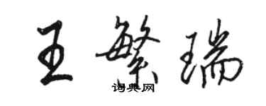 駱恆光王繁瑞行書個性簽名怎么寫