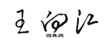 駱恆光王向江草書個性簽名怎么寫