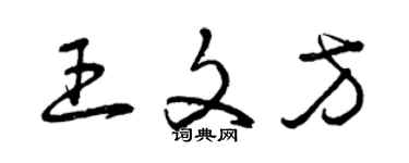 曾慶福王文方草書個性簽名怎么寫