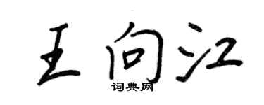 王正良王向江行書個性簽名怎么寫