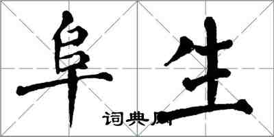 翁闓運阜生楷書怎么寫