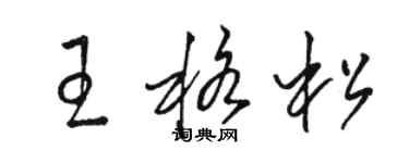 駱恆光王格松草書個性簽名怎么寫