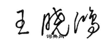 駱恆光王曉鴻草書個性簽名怎么寫