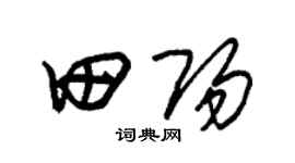朱錫榮田陽草書個性簽名怎么寫