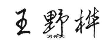 駱恆光王野樺行書個性簽名怎么寫