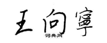 王正良王向寧行書個性簽名怎么寫