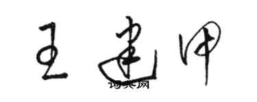 駱恆光王建甲草書個性簽名怎么寫