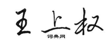 駱恆光王上權行書個性簽名怎么寫