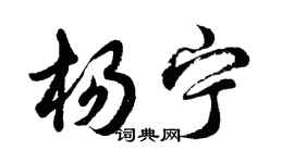 胡問遂楊寧行書個性簽名怎么寫