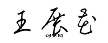 梁錦英王展花草書個性簽名怎么寫