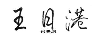 駱恆光王日港行書個性簽名怎么寫