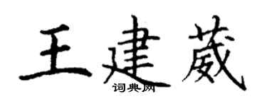 丁謙王建葳楷書個性簽名怎么寫