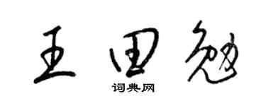 梁錦英王田勉草書個性簽名怎么寫