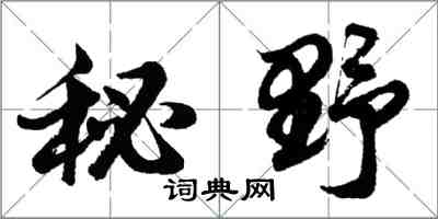 胡問遂秘野行書怎么寫