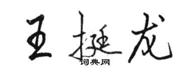 駱恆光王挺龍行書個性簽名怎么寫