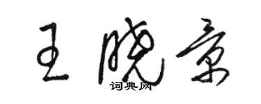 駱恆光王曉景草書個性簽名怎么寫