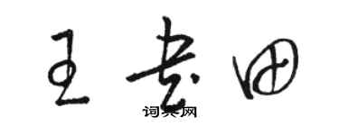 駱恆光王書田草書個性簽名怎么寫