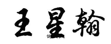 胡問遂王星翰行書個性簽名怎么寫