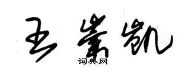 朱錫榮王崇凱草書個性簽名怎么寫