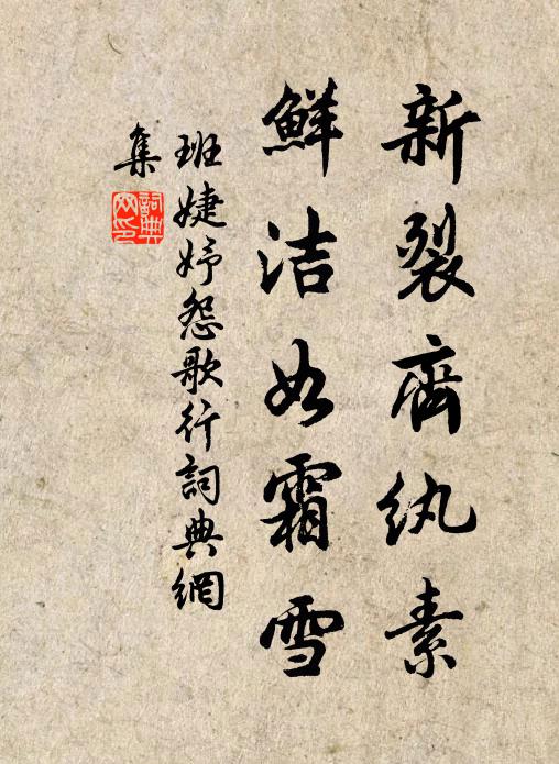 向來三復渭陽詩,羨汝此行親見之 詩詞名句