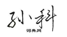 駱恆光孫科行書個性簽名怎么寫